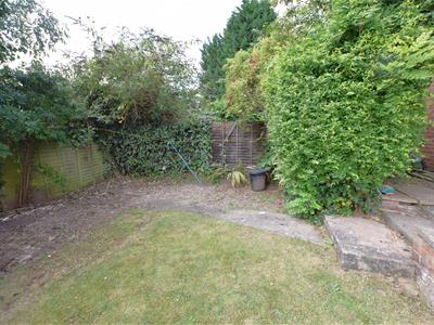 Picture 11